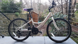 dawes sapphire 24 inch bike